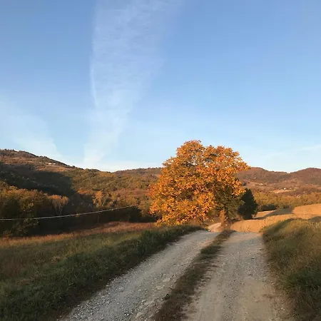 Typical House In Trebbia Valley * Cella