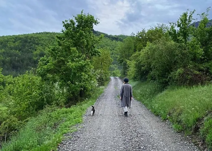 Typical House In Trebbia Valley Дом отдыха